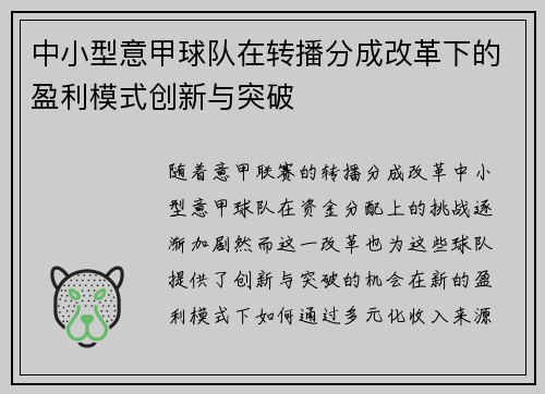 中小型意甲球队在转播分成改革下的盈利模式创新与突破
